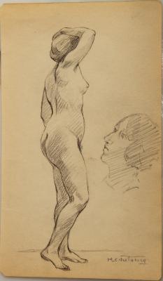 Estudio de desnudo y perfil femenino