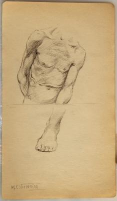 Estudio de torso y pie masculino